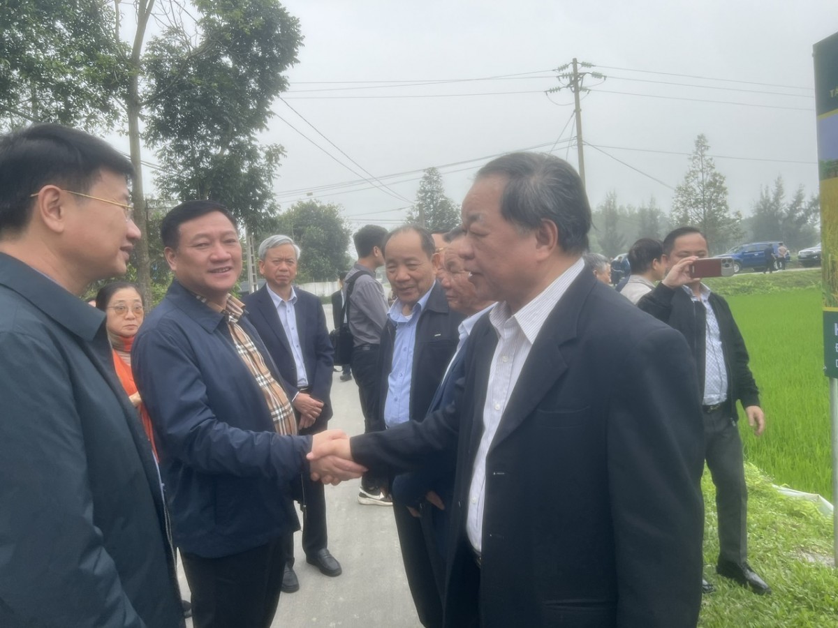 Phát triển nông nghiệp tuần hoàn tạo nên chuỗi giá trị vững bền