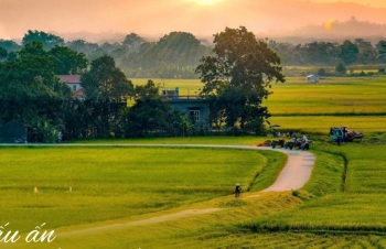 Đồng Bằng Bắc Bộ không chỉ có "thẳng cánh cò bay"