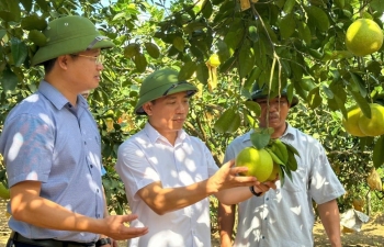 Khuyến nông Hà Tĩnh nhân rộng và phát triển nông nghiệp hữu cơ bền vững