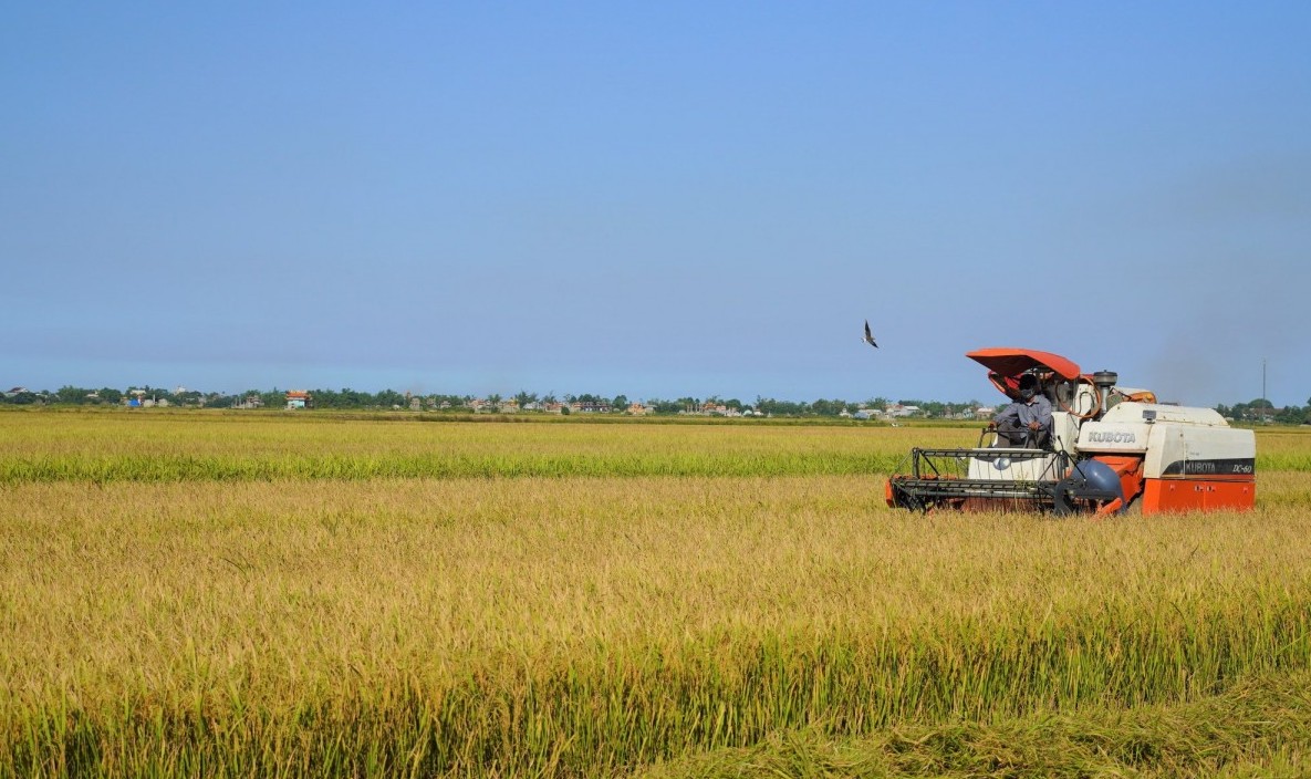 Nông sản Quảng Trị: Nâng tầm đặc sản, hướng đến phát triển bền vững