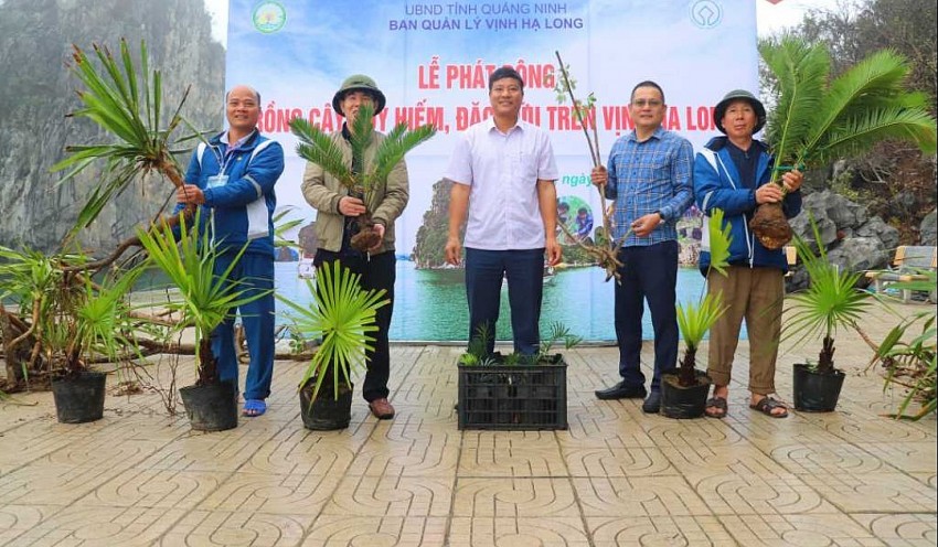 Trung tâm Bảo tồn III, Ban Quản lý Vịnh Hạ Long, tiếp nhận các loại thực vật đặc hữu, quý hiếm