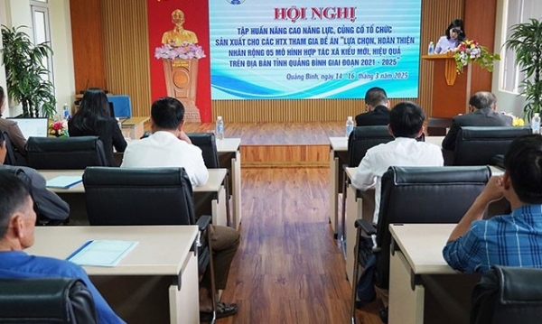 Quảng Bình tập huấn nâng cao năng lực, củng cố tổ chức sản xuất cho các HTX