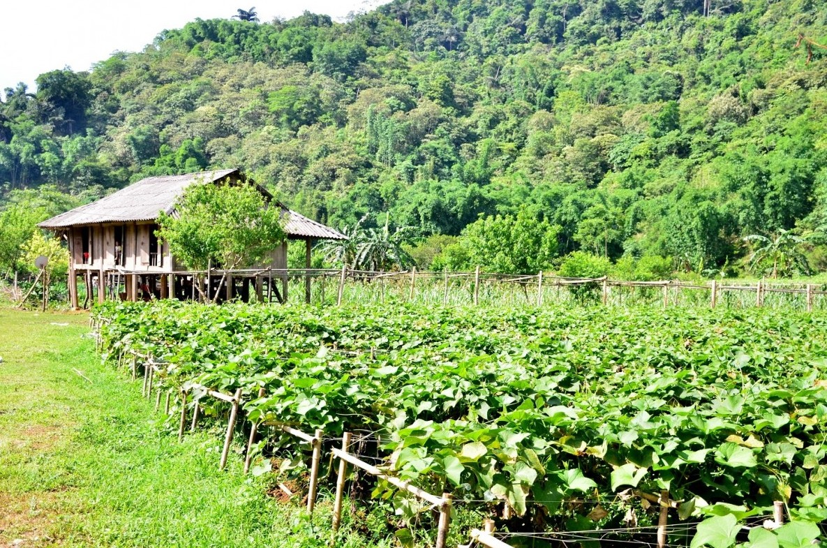 Tân Lạc (Hòa Bình) giảm nghèo bền vững, nâng cao đời sống vùng cao