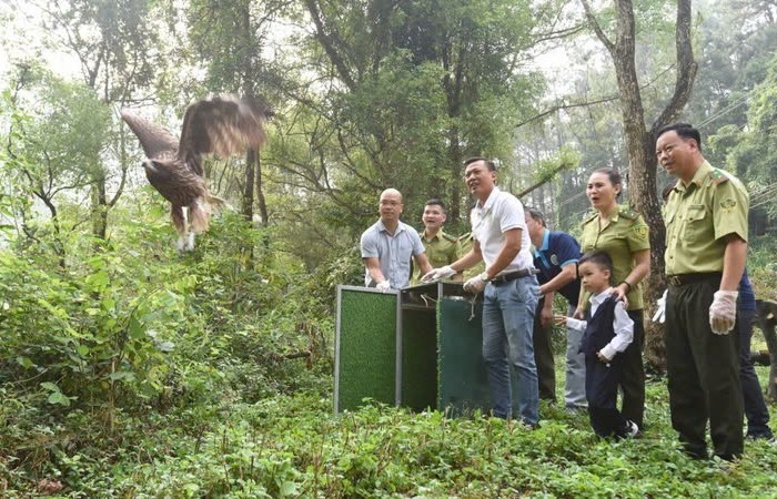 Chức năng, nhiệm vụ Trung tâm Cứu hộ động vật hoang dã Hà Nội