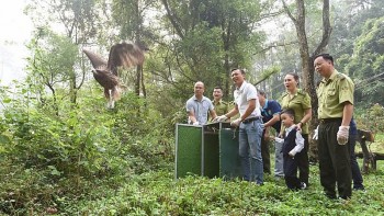 Chức năng, nhiệm vụ Trung tâm Cứu hộ động vật hoang dã Hà Nội