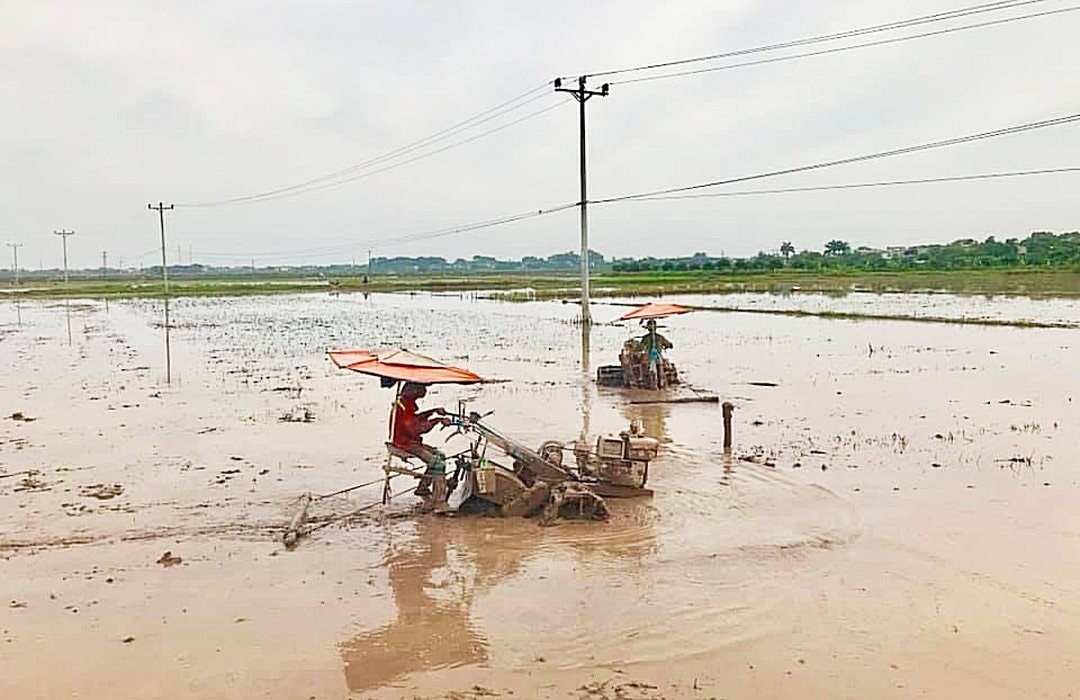 Cánh đồng không dấu chân: Nền nông nghiệp công nghệ của tương lai