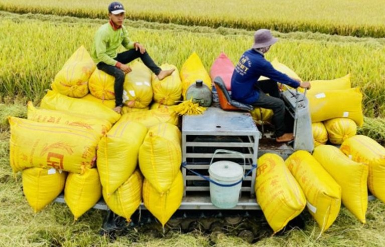 Cánh đồng không dấu chân: Nền nông nghiệp công nghệ của tương lai