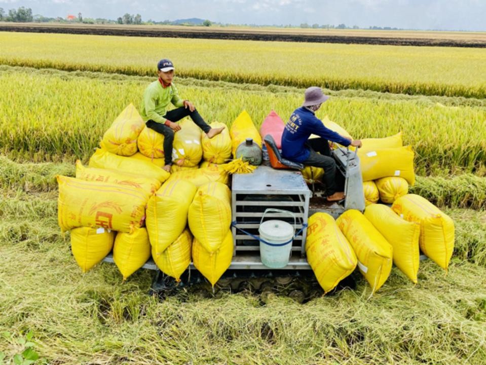 Cánh đồng không dấu chân: Nền nông nghiệp công nghệ của tương lai