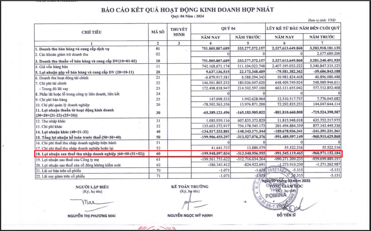 Pomina lỗ sau thuế 991,5 tỷ đồng trong năm 2024 (Nguồn: BCTC Hợp nhất quý IV/2024 của POM).