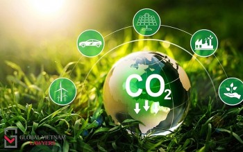 Đề xuất bổ sung 9 thủ tục hành chính cho thị trường carbon tại Việt Nam