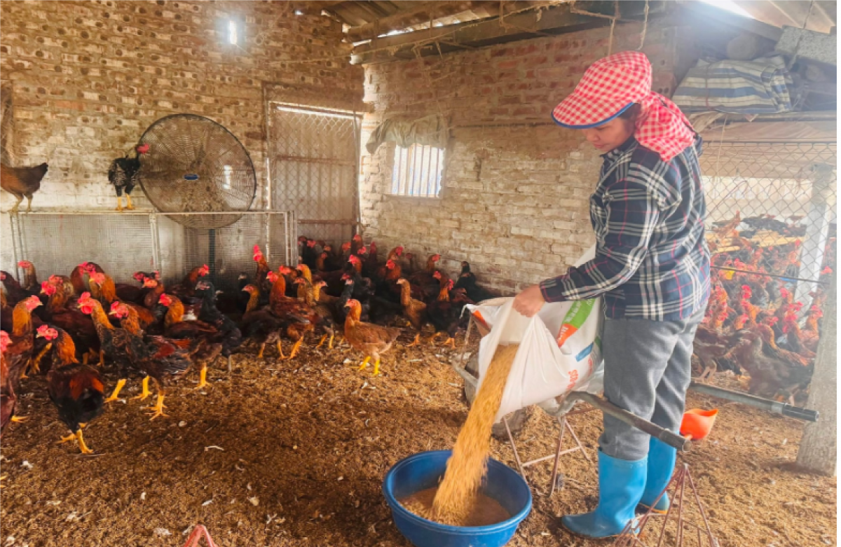 Hải Dương khuyến cáo người dân chú ý phòng chống nắng nóng cho đàn vật nuôi