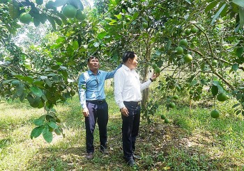 Quảng Bình: Huyện Tuyên Hóa hỗ trợ vốn vay cho bà con nông dân phát triển sản xuất, kinh doanh
