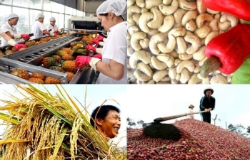 Xuất khẩu nông sản quý 1/2025 đạt 15,71 tỷ USD