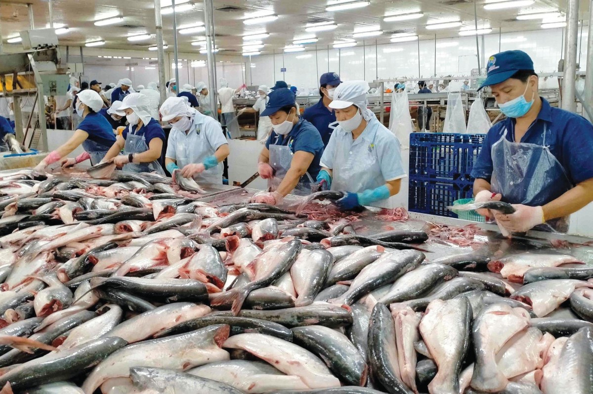 VCCI và AmCham cùng đề nghị Hoa Kỳ hoãn áp thuế đối ứng với Việt Nam