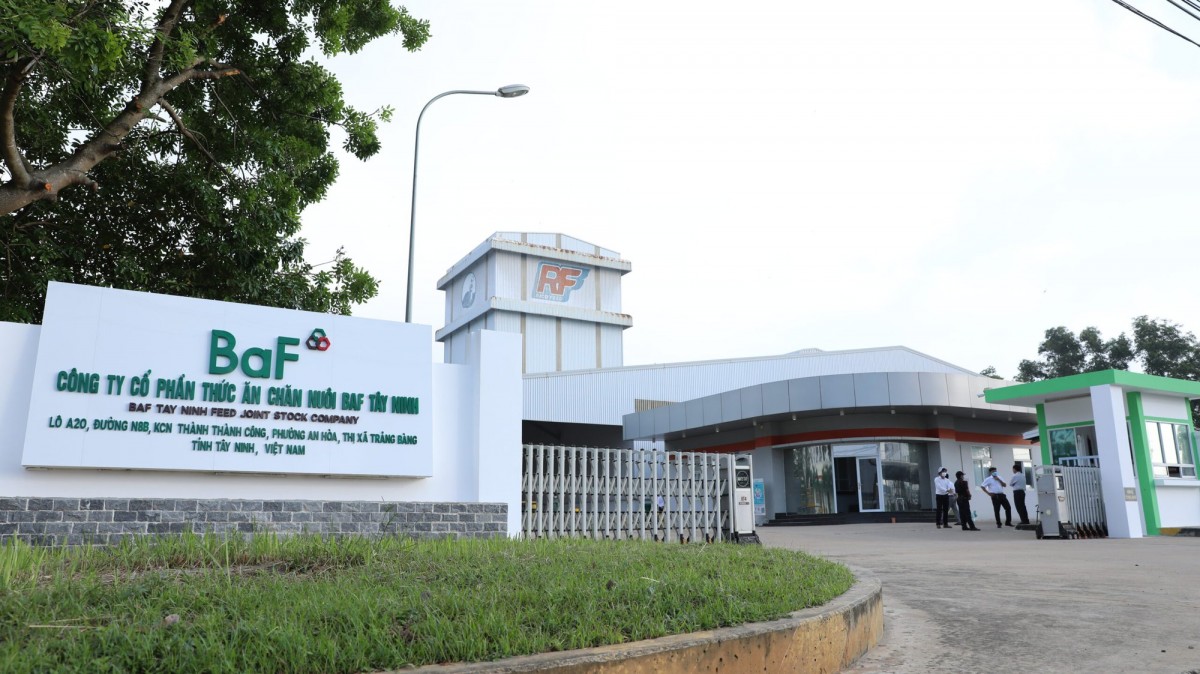 Ảnh minh họa.