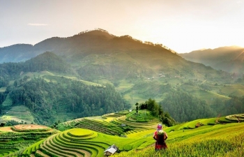 Gạo Séng Cù - Hương vị núi rừng Tây Bắc