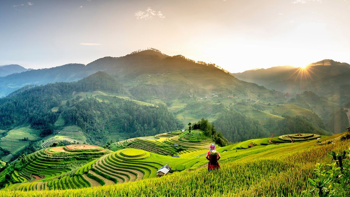Gạo Séng Cù - Hương vị núi rừng Tây Bắc