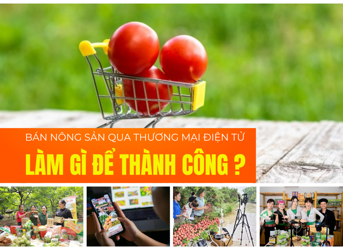 Tiêu thụ nông sản qua thương mại điện tử làm gì để thành công?