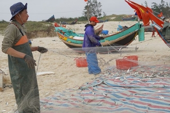 quang binh tong san luong thuy san tren dia ban toan tinh dat tren 18232 tan trong quy i2025