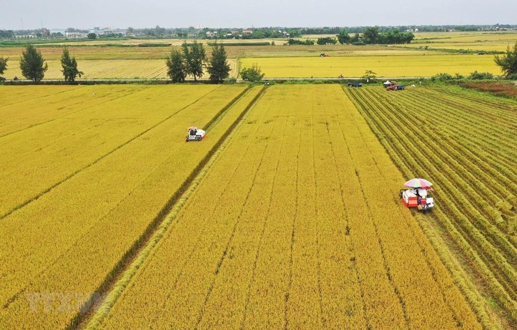 Năm 2025, tách thửa đất nông nghiệp hết bao nhiêu tiền?