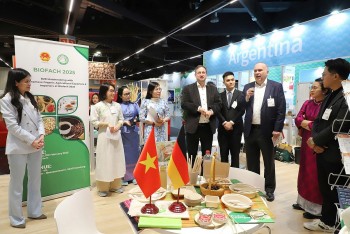 Nông sản Việt Nam đứng trước cơ hội bứt phá tại thị trường Trung Quốc trong năm 2025