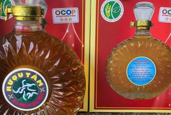 Phú Yên: Khôi phục phát triển Làng nghề trồng dâu nuôi tằm xã Hòa Phong