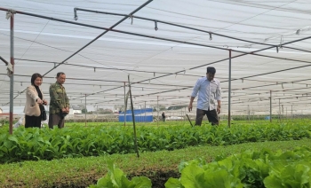 Thái Nguyên: Hỗ trợ nông dân vay vốn để sản xuất nông sản sạch