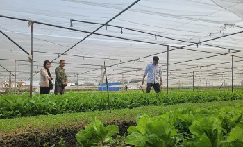 Thái Nguyên: Hỗ trợ nông dân vay vốn để sản xuất nông sản sạch