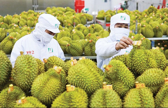 Phải kiểm soát chặt chẽ mới có thể duy trì ở những thị trường khó tính