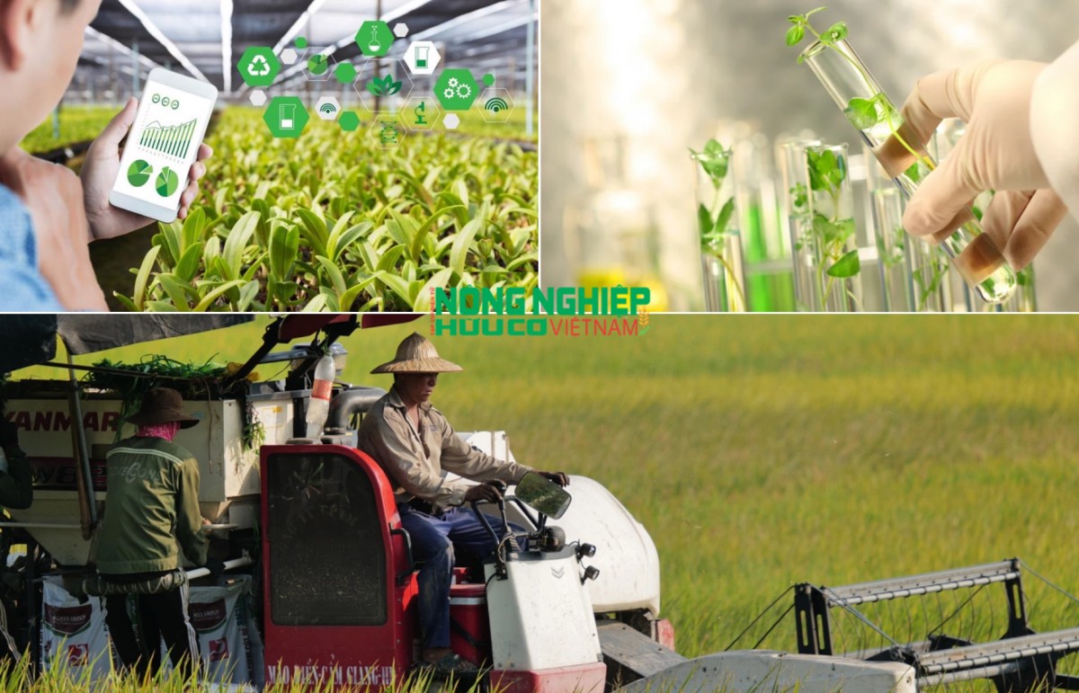 Ứng dụng khoa học công nghệ tạo đột phá cho ngành nông nghiệp