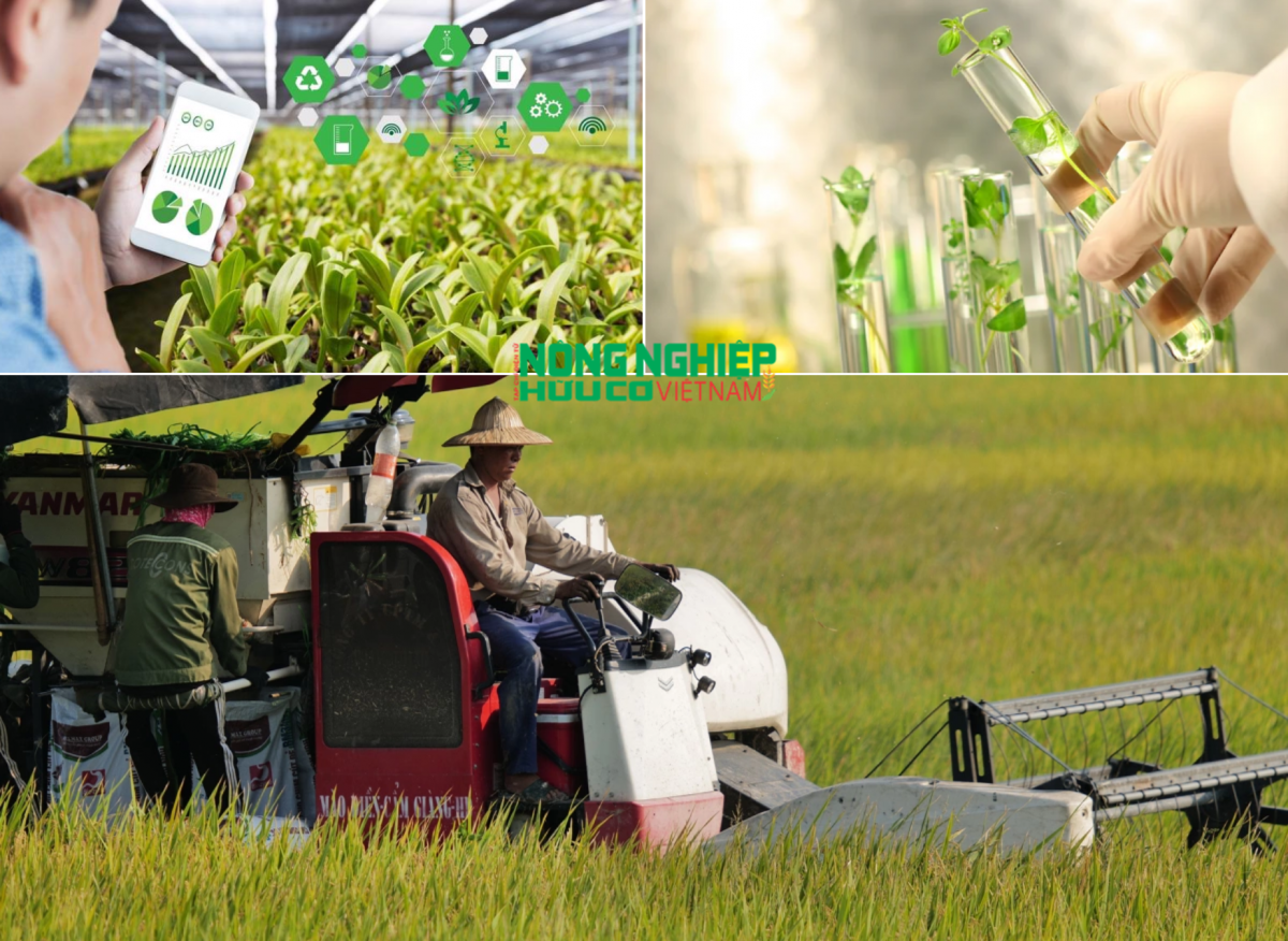 Ứng dụng khoa học công nghệ tạo đột phá cho ngành nông nghiệp