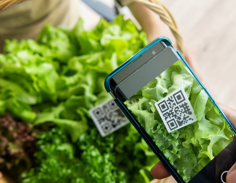 Thực phẩm hữu cơ nhập khẩu: “Hữu cơ ngoại” có thực sự chất lượng?