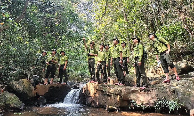 Quảng Bình: Thành lập Trung tâm Bảo vệ rừng và Di sản thế giới