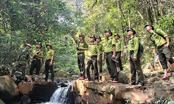 Quảng Bình: Thành lập Trung tâm Bảo vệ rừng và Di sản thế giới