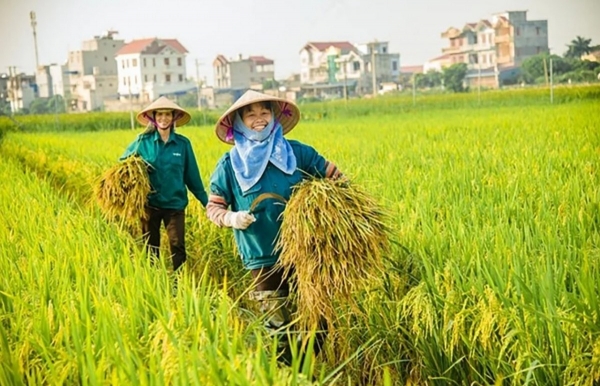 Nông, lâm nghiệp và thủy sản được ưu tiên vay vốn "xanh"