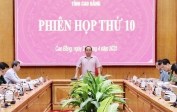 cao bang hop ban chi dao phong chong tham nhung lang phi tieu cuc tinh