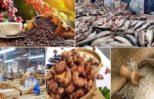 Đòn bẩy phát triển Nông nghiệp Hữu cơ và kinh tế tư nhân