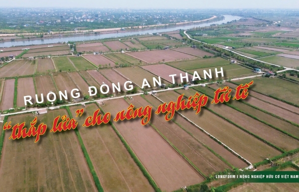 [Longform] Ruộng đồng An Thanh “thắp lửa” cho nông nghiệp tử tế