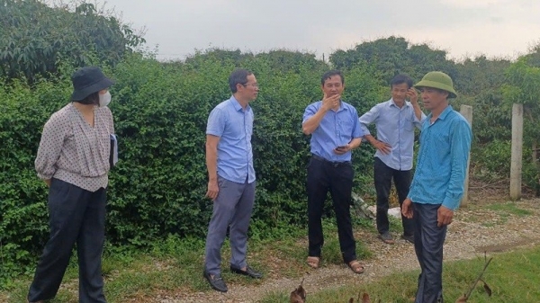 Hải Dương tăng cường chỉ đạo phòng trừ sâu, bệnh hại cây trồng