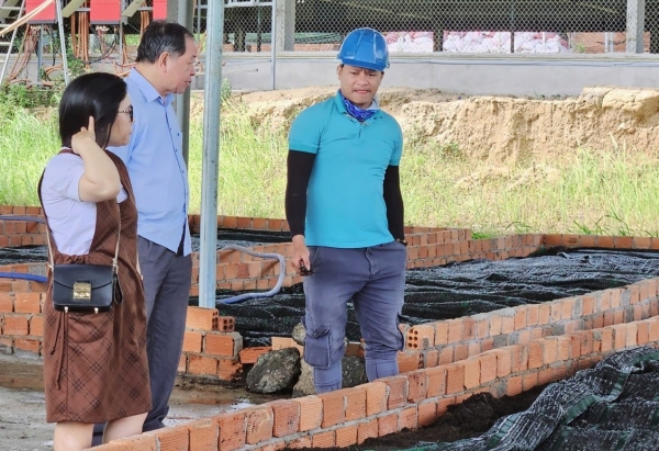 Phân bón hữu cơ trùn quế MT Tây Nguyên Xanh: Giải pháp cho nông nghiệp bền vững
