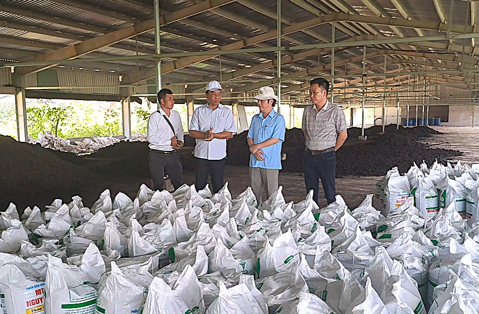 Phân bón hữu cơ trùn quế MT Tây Nguyên Xanh: Giải pháp bền vững cho nông nghiệp xanh