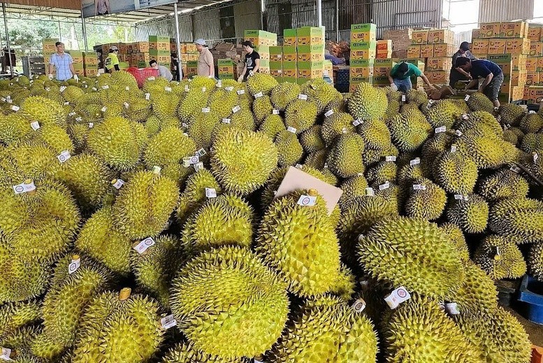 Khơi thông dòng chảy kinh tế Việt Nam - Trung Quốc trong kỷ nguyên mới