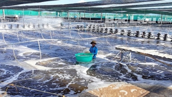 Khuyến nông đóng vai trò quan trọng trong phát triển nông nghiệp hữu cơ gắn với du lịch sinh thái
