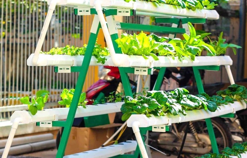 Nông dân công nghệ và nông trại xếp tầng - Hướng đi tất yếu cho nền nông nghiệp hiện đại
