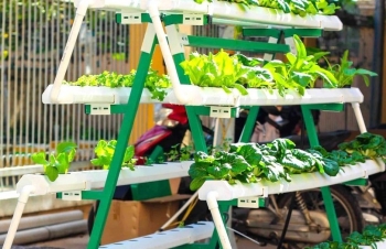 Nông dân công nghệ và nông trại xếp tầng - Hướng đi tất yếu cho nền nông nghiệp hiện đại