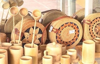 Chế tạo vật liệu thay thế nhựa một hướng đi vì tương lai