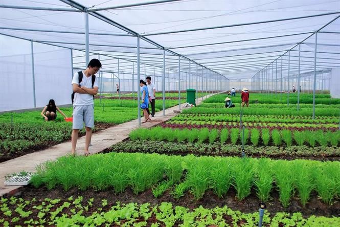 Quy trình và thủ tục của VietGAP - Nền tảng và mục tiêu