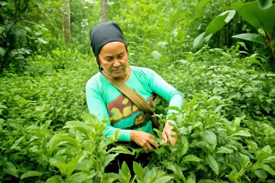 Quy trình và thủ tục của VietGAP - Nền tảng và mục tiêu