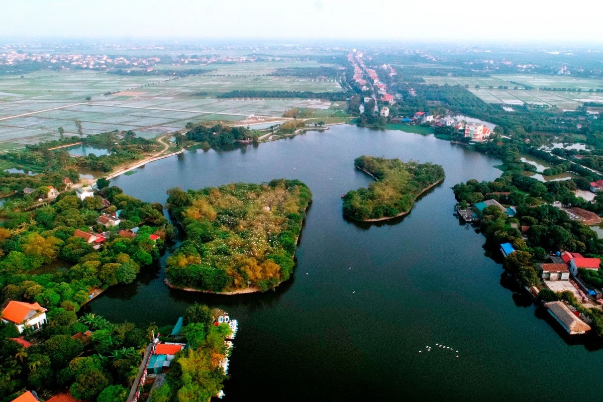 Kỳ thú Đảo Cò