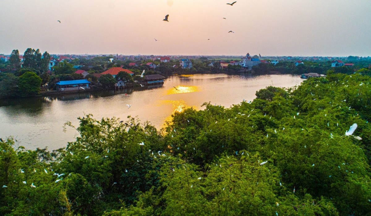 Kỳ thú Đảo Cò